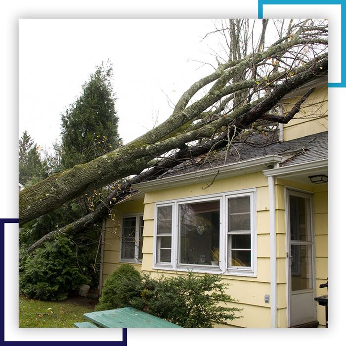 A tree laying on a house after a storm.